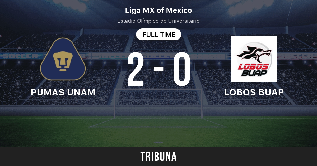Pumas UNAM vs Lobos BUAP: Head to Head statistics match - 8/13/2017.  Tribuna.com