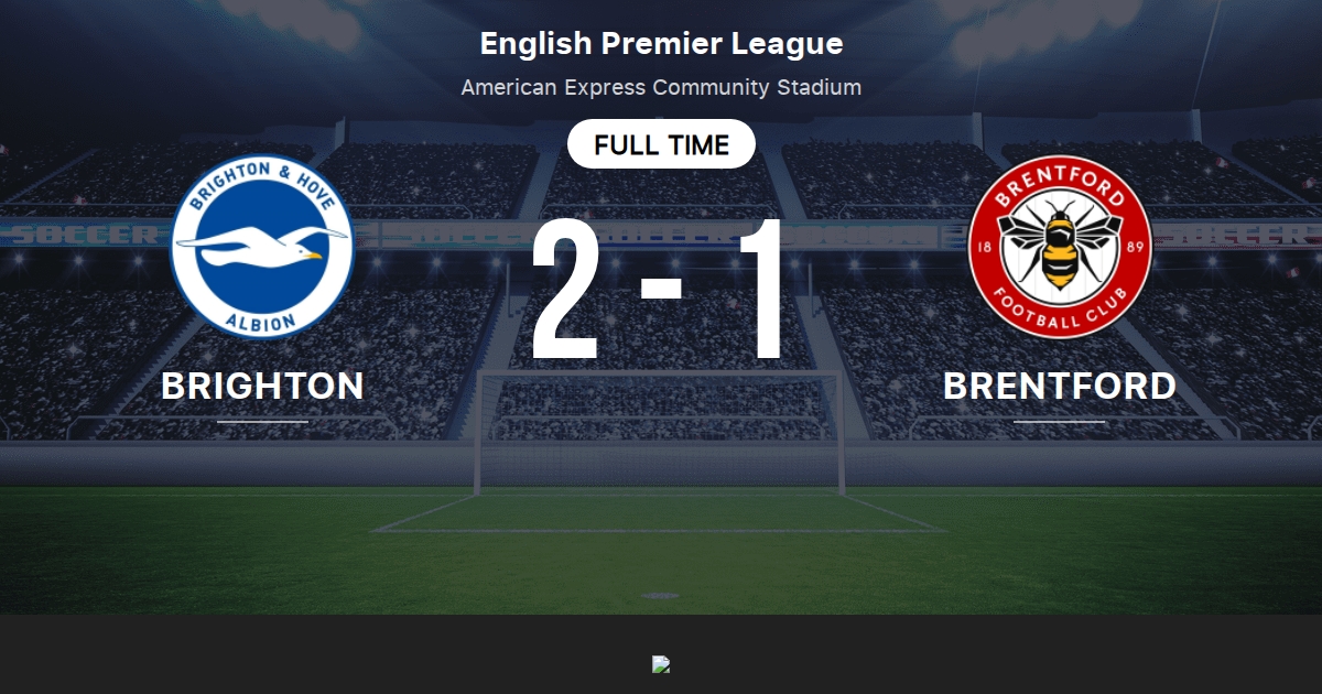 brighton & hove albion - brentford